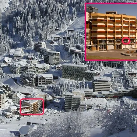 Confortable 4 Pers A Gourette, Animaux Admis - Fr-1-859-19 *