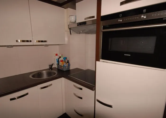 Confortable 4 Pers A Gourette, Animaux Admis - Fr-1-859-19 Apartamento