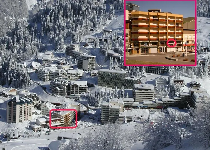 Confortable 4 Pers A Gourette, Animaux Admis - Fr-1-859-19 *